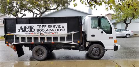 Ace tree service - Ace Basin Tree Services offers professional tree service s in Walterboro, SC, and the surrounding areas. We specialize in all manner of tree care service s. With years of experience, our focus is always on healthy trees and happy customers. We take pride in providing friendly, safe, and quality service to each customer and our ability to tackle ...